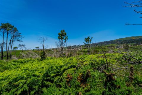 Tomt i Calheta, Madeira, Calheta - € 180 000 | Ref: 081260111 - foto 5