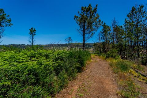 Tomt i Calheta, Madeira, Calheta - € 180 000 | Ref: 081260111 - foto 8