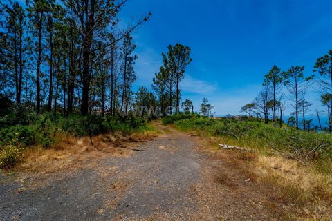Tomt i Calheta, Madeira, Calheta - € 180 000 | Ref: 081260111 - foto 9