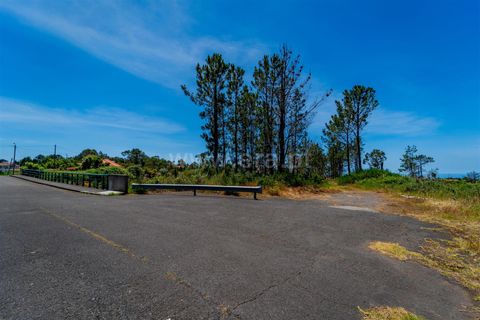 Tomt i Calheta, Madeira, Calheta - € 180 000 | Ref: 081260111 - foto 10