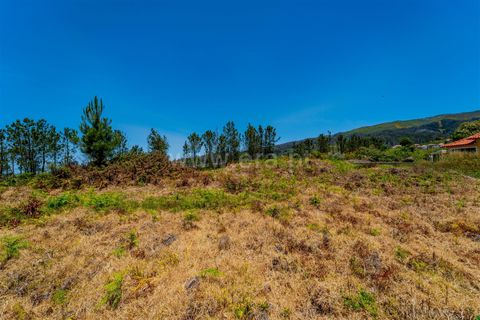 Helårsgrund i Calheta, Madeira, Calheta - € 225.000 | Ref: 081260109 - foto 3