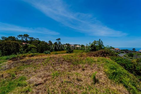 Helårsgrund i Calheta, Madeira, Calheta - € 225.000 | Ref: 081260109 - foto 5