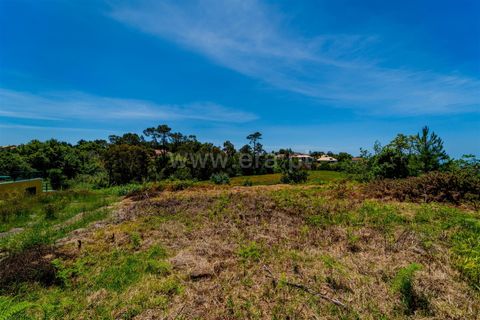 Helårsgrund i Calheta, Madeira, Calheta - € 225.000 | Ref: 081260109 - foto 6