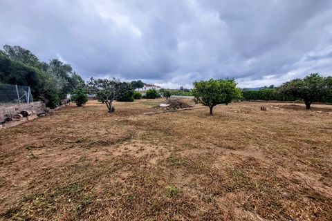 Villa a Montserrat, Valencia, Montserrat - € 200.000 | Ref: VLC9396 - foto 35