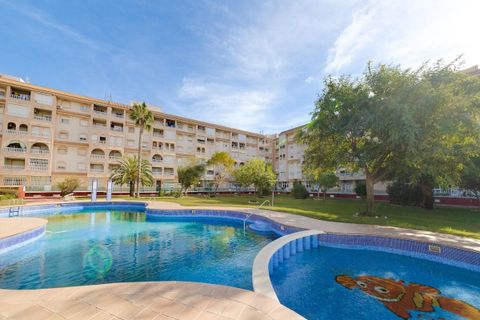 Lejlighed i Torrevieja, Alicante - foto 1