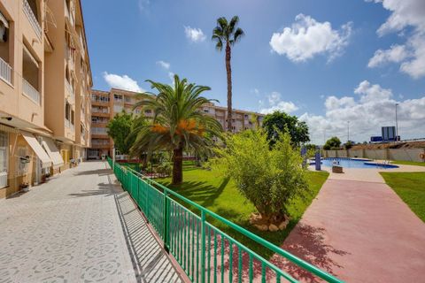 Lejlighed i Torrevieja, Alicante - foto 3