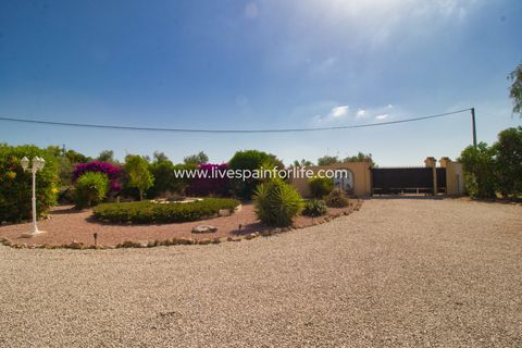 Landejendom i Catral, Alicante, Catral - € 439.000 | Ref: CAT GNS-D - foto 36
