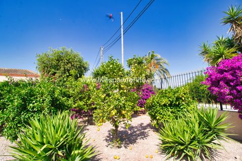 Landejendom i Catral, Alicante, Catral - € 439.000 | Ref: CAT GNS-D - foto 48