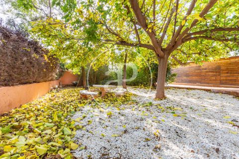 Villa a Lliria, Valencia, Lliria - € 272.000 | Ref: VV2511028 - foto 31