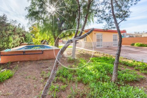 Villa a Lliria, Valencia, Lliria - € 272.000 | Ref: VV2511028 - foto 34