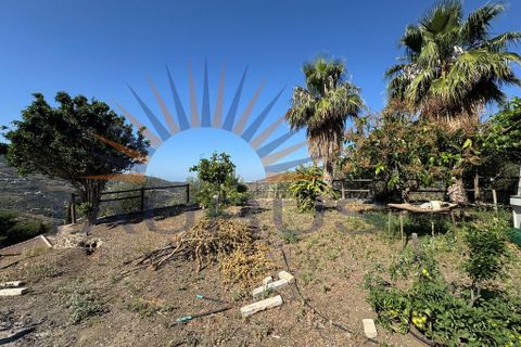 Villa a Sayalonga, Malaga, Sayalonga - € 365.000 | Ref: C3976 - foto 27