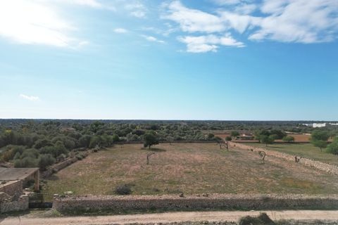 Landejendom i Llucmajor, Mallorca, Llucmajor - € 5.400.000 | Ref: SWOLLU5415 - foto 12