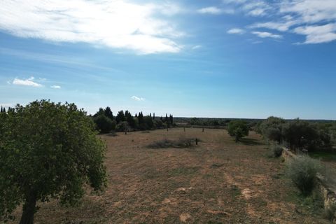 Landejendom i Llucmajor, Mallorca, Llucmajor - € 5.400.000 | Ref: SWOLLU5415 - foto 13
