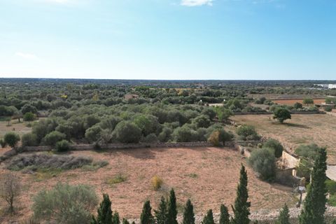 Landejendom i Llucmajor, Mallorca, Llucmajor - € 5.400.000 | Ref: SWOLLU5415 - foto 14