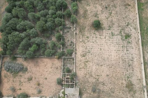 Landejendom i Llucmajor, Mallorca, Llucmajor - € 5.400.000 | Ref: SWOLLU5415 - foto 15