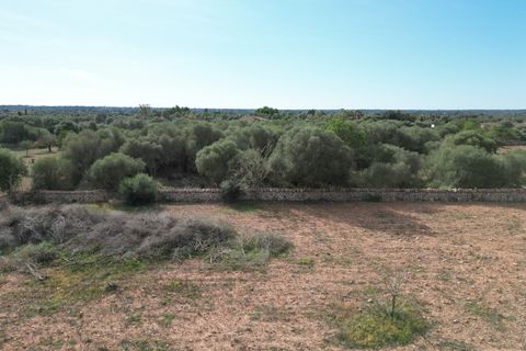 Landejendom i Llucmajor, Mallorca, Llucmajor - € 5.400.000 | Ref: SWOLLU5415 - foto 16
