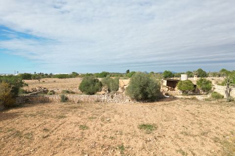 Landejendom i Llucmajor, Mallorca, Llucmajor - € 5.400.000 | Ref: SWOLLU5415 - foto 17