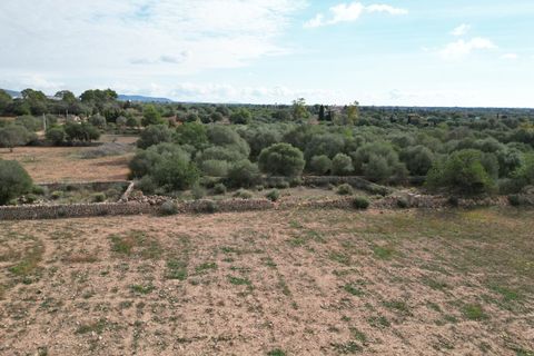 Landejendom i Llucmajor, Mallorca, Llucmajor - € 5.400.000 | Ref: SWOLLU5415 - foto 18