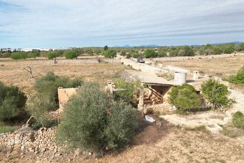 Landejendom i Llucmajor, Mallorca, Llucmajor - € 5.400.000 | Ref: SWOLLU5415 - foto 19