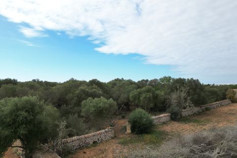 Landejendom i Llucmajor, Mallorca, Llucmajor - € 5.400.000 | Ref: SWOLLU5415 - foto 20
