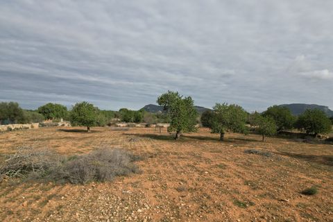 Landejendom i Llucmajor, Mallorca, Llucmajor - € 5.400.000 | Ref: SWOLLU5414 - foto 14