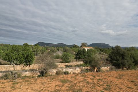 Landejendom i Llucmajor, Mallorca, Llucmajor - € 5.400.000 | Ref: SWOLLU5414 - foto 15