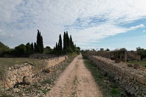 Landejendom i Llucmajor, Mallorca, Llucmajor - € 5.400.000 | Ref: SWOLLU5414 - foto 17
