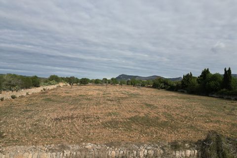 Landejendom i Llucmajor, Mallorca, Llucmajor - € 5.400.000 | Ref: SWOLLU5414 - foto 18