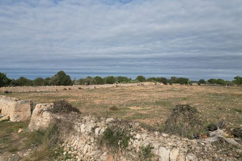 Landejendom i Llucmajor, Mallorca, Llucmajor - € 5.400.000 | Ref: SWOLLU5414 - foto 19