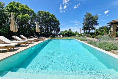 Villa i Riparbella, Pisa, Riparbella - € 1.800.000 | Ref: CS471 - foto 8