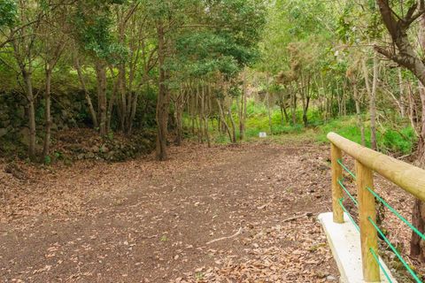 Villa i Icod, Tenerife, Icod - € 860.000 | Ref: EXP14614/8930 - foto 7