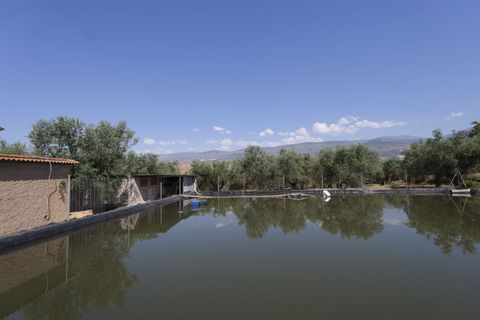 Landejendom i Ugijar, Granada, Ugijar - € 59.000 | Ref: 111686131 - foto 7