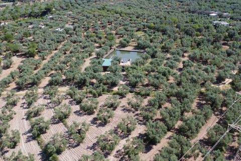 Landejendom i Ugijar, Granada, Ugijar - € 59.000 | Ref: 111686131 - foto 8