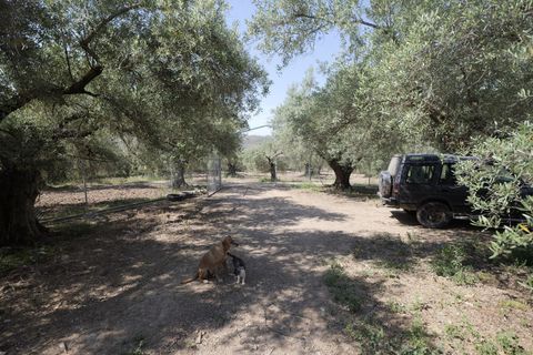 Landejendom i Ugijar, Granada, Ugijar - € 59.000 | Ref: 111686131 - foto 10