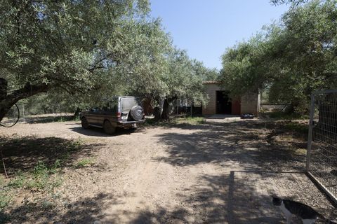 Landejendom i Ugijar, Granada, Ugijar - € 59.000 | Ref: 111686131 - foto 13