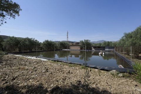 Landejendom i Ugijar, Granada, Ugijar - € 59.000 | Ref: 111686131 - foto 14