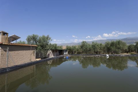Landejendom i Ugijar, Granada, Ugijar - € 59.000 | Ref: 111686131 - foto 15