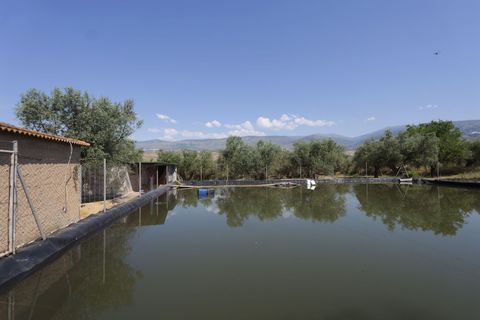 Landejendom i Ugijar, Granada, Ugijar - € 59.000 | Ref: 111686131 - foto 16