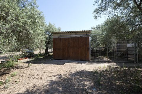 Landejendom i Ugijar, Granada, Ugijar - € 59.000 | Ref: 111686131 - foto 17