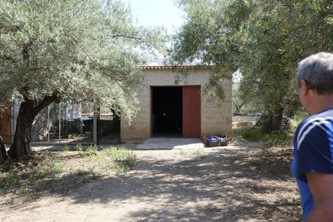 Landejendom i Ugijar, Granada, Ugijar - € 59.000 | Ref: 111686131 - foto 24