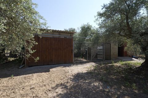 Landejendom i Ugijar, Granada, Ugijar - € 59.000 | Ref: 111686131 - foto 26