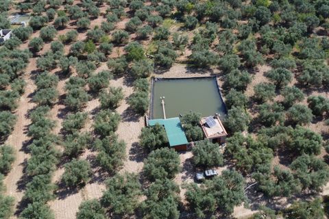 Landejendom i Ugijar, Granada, Ugijar - € 59.000 | Ref: 111686131 - foto 27