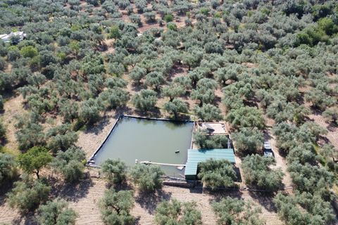 Landejendom i Ugijar, Granada, Ugijar - € 59.000 | Ref: 111686131 - foto 28