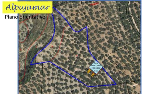 Landejendom i Ugijar, Granada, Ugijar - € 59.000 | Ref: 111686131 - foto 29