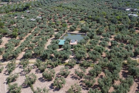 Landejendom i Ugijar, Granada, Ugijar - € 59.000 | Ref: 111686131 - foto 30