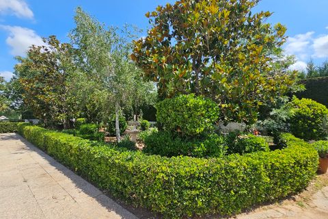 Landejendom i Canals, Valencia, Canals - € 400.000 | Ref: EB15254 - foto 45