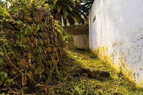 Ruine in Icod de los Vinos, Tenerife - Foto 2