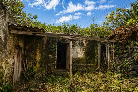 Ruine in Icod de los Vinos, Tenerife - Foto 4