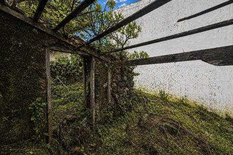 Ruine in Icod de los Vinos, Tenerife - Foto 5