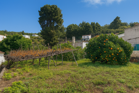 Finca i La Florida, Tenerife, La Florida - € 119.000 | Ref: LG-7022 - foto 11